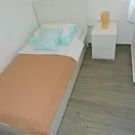 Pajo Primošten