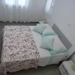 Apartament Pajo Primošten