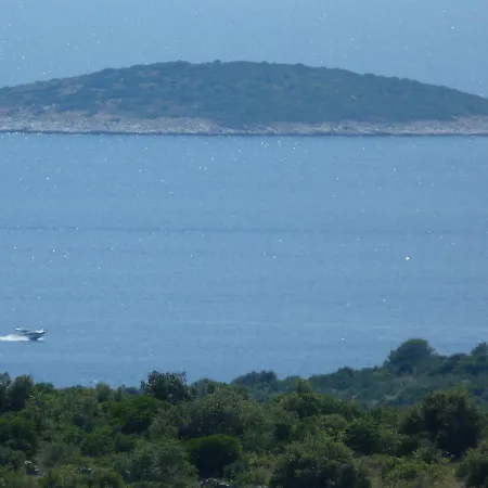 Pajo * Primošten