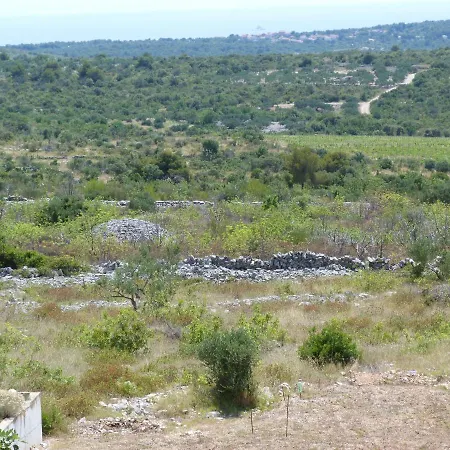 Apartament Pajo *